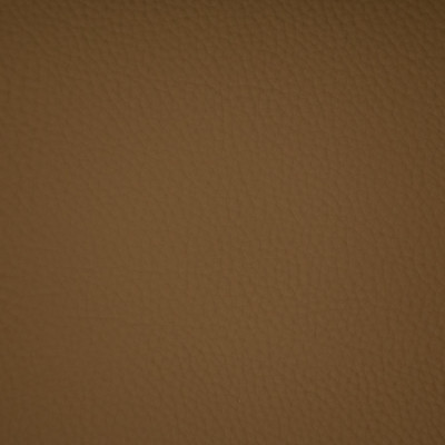 F6664 Hazel