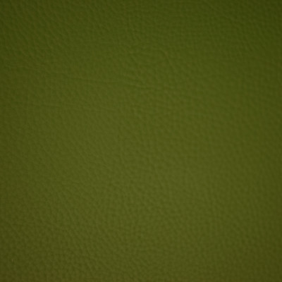 F6669 Forest