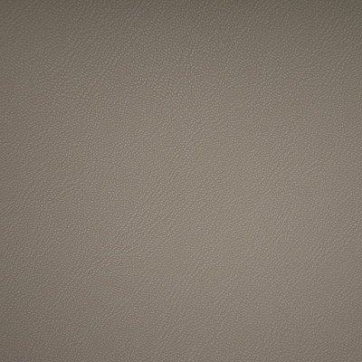 F6675 Gray