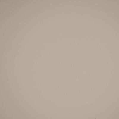 70384 Bisque