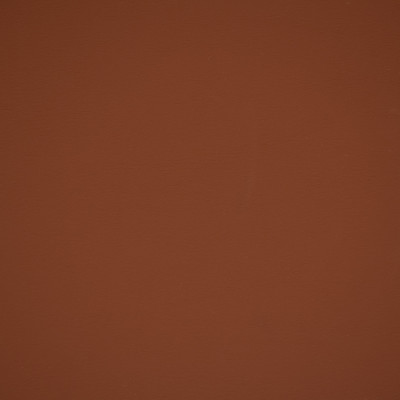70387 Cinnamon