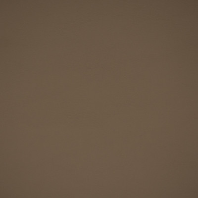 73666 Medium Neutral