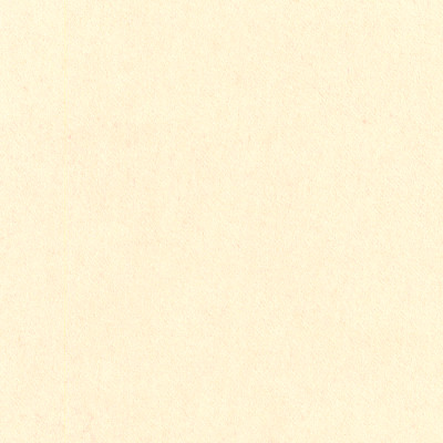 A3945 Fleece
