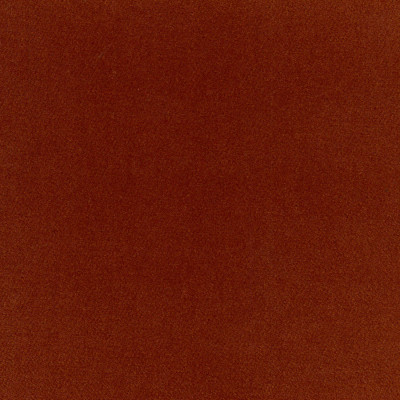 A5317 Zinnia