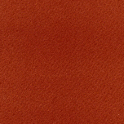 A5318 Tangelo