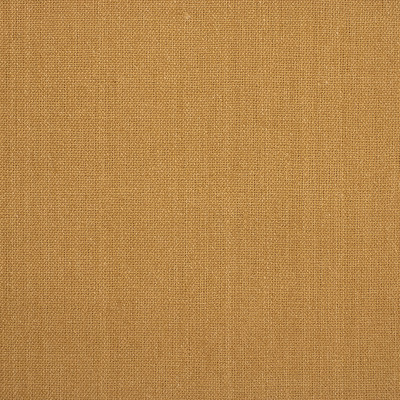 A7803 Camel