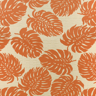 A8035 Tangerine