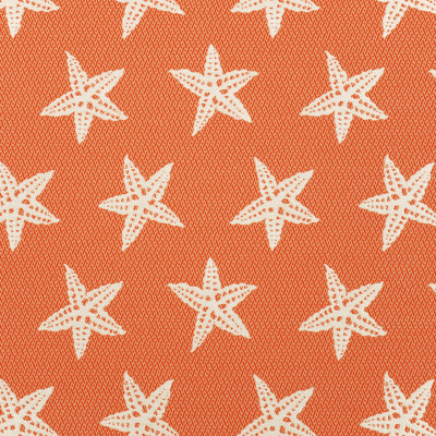 A8036 Firecracker
