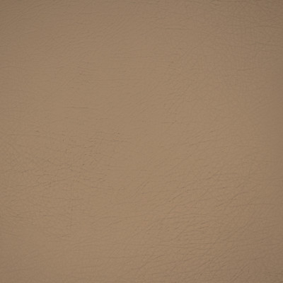 A9234 Ash