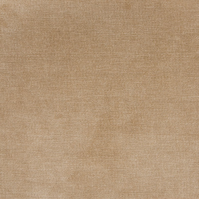 B1255 Taupe