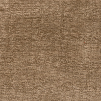 B1259 Nutmeg