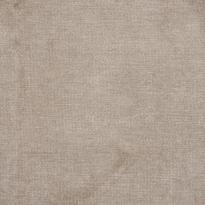 B1262 Birch