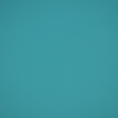 B2369 Reef