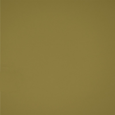 B2370 Parrot