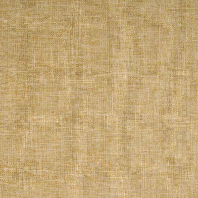 B3818 Maize