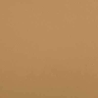 B5189 Zander Dune
