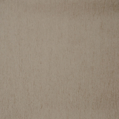 B7509 Oyster
