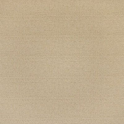 B8481 Eggshell