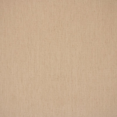 B8501 Eggshell