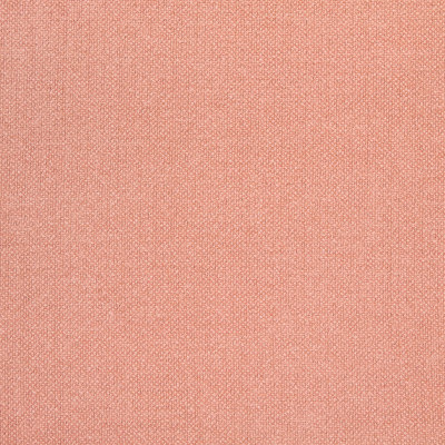 B8584 Guava