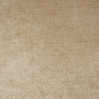 B9744 Oyster