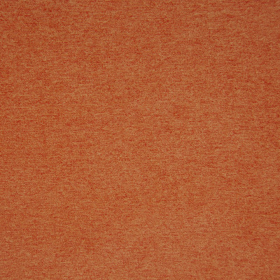 B9836 Apricot