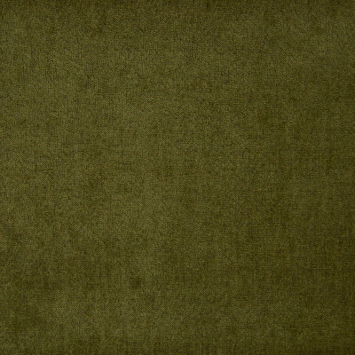 B9883 Grass