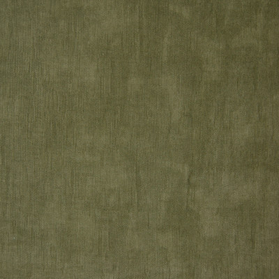 B9888 Olive