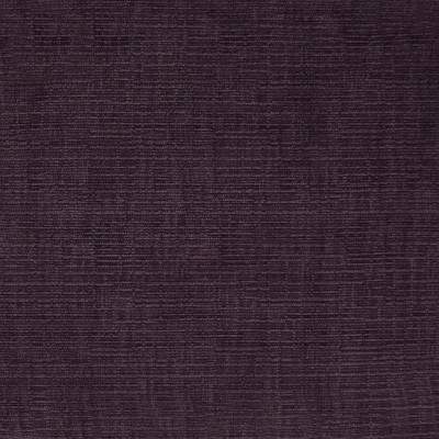 F1139 Aubergine