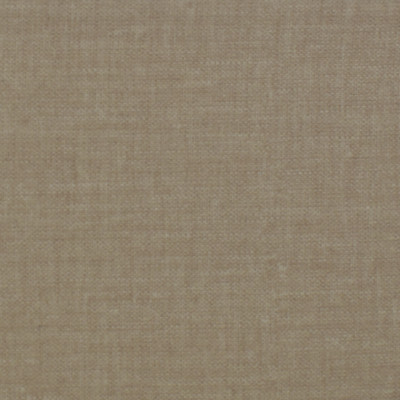 F1705 Flax