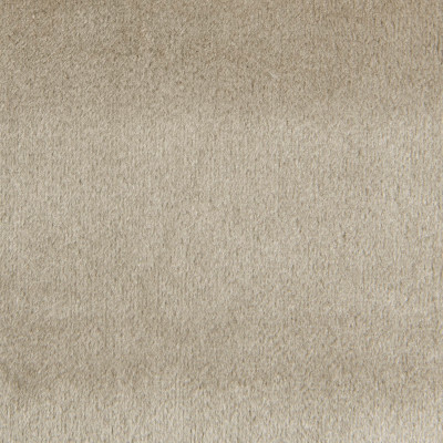 F1787 Wheat