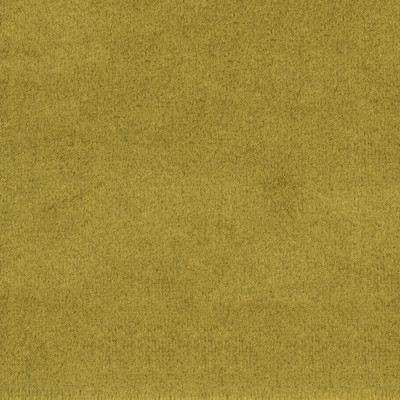F1836 Grass