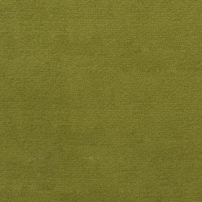 F1837 Fern