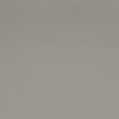 F1850 Mystic White