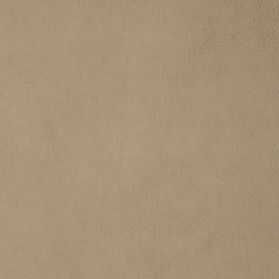 F1856 Bone