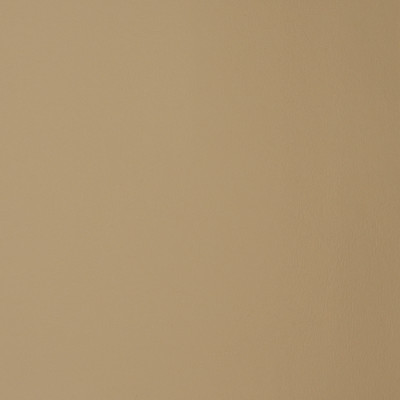F1857 Parchment