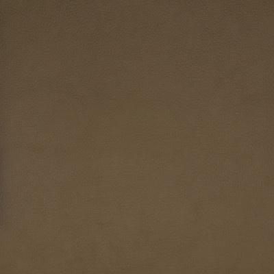 F1859 Beige