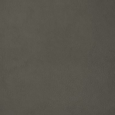 F1878 Ash
