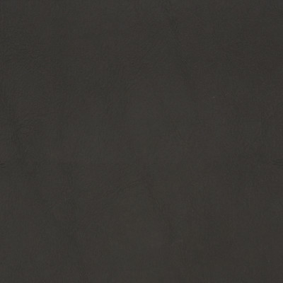 F1881 Charcoal