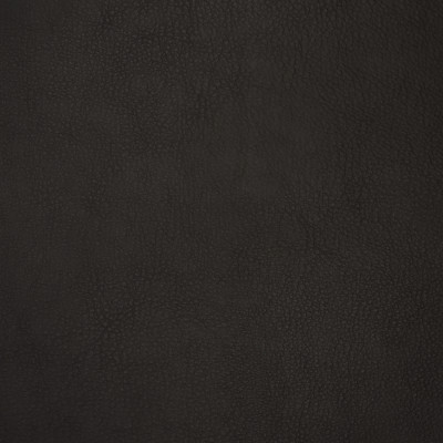 F1884 Charcoal