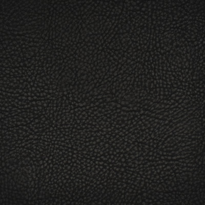 F1886 Midnight