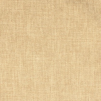 F1901 Wheat