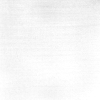 F2513 Optic White