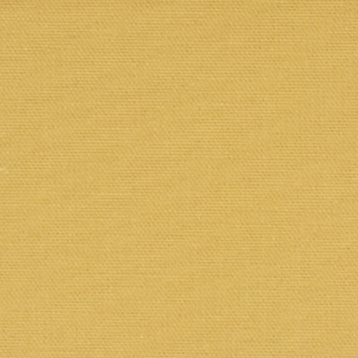 F2542 Sunshine