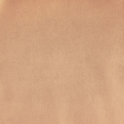 F2867 Champagne