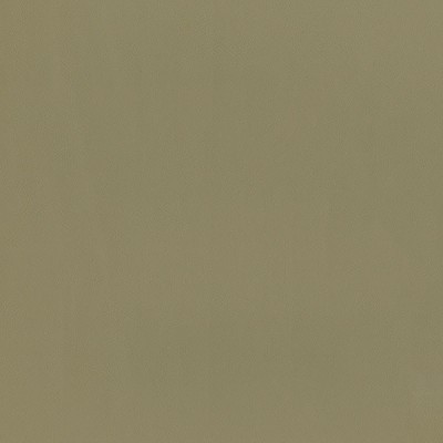 F2868 Taupe