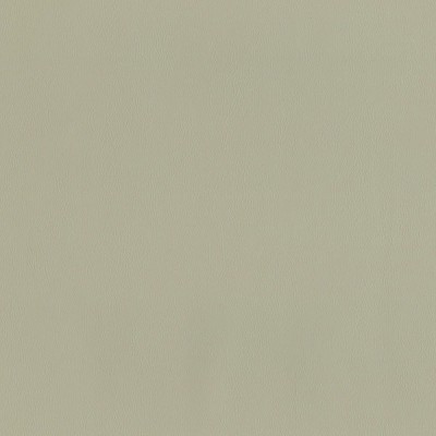 F2869 Fog