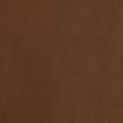 F2873 Amber