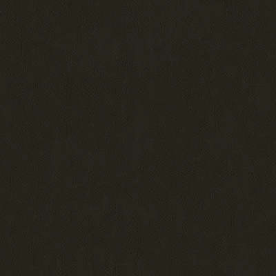 F2878 Chocolate