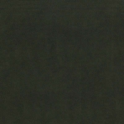 F2880 Charcoal